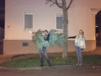 ein Bild aus dem Album