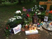 ein Bild aus dem Album