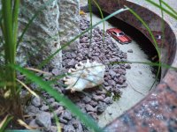 ein Bild aus dem Album